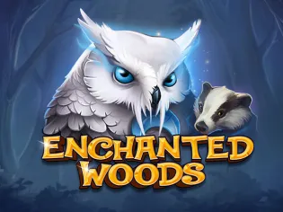 Enchanted Woods game thumbnail